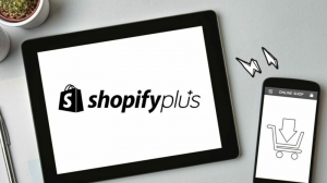 Why You Need to Hire a Shopify Plus Consultants & Top 9 Best Consultants
